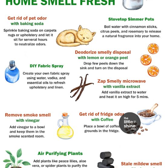 How to Keep Your House Smelling Fresh All the Time