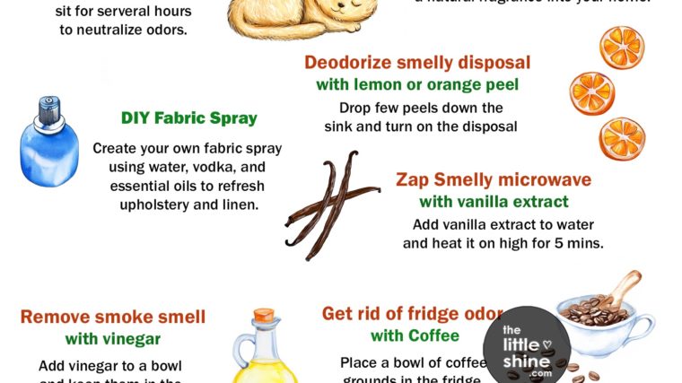 How to Keep Your House Smelling Fresh All the Time