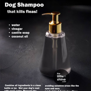 Antibacterial Dog Shampoo