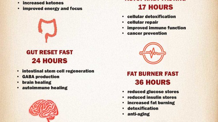 Benefits of Fasting| Hour-wise Benefits