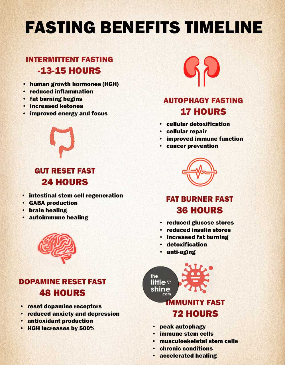 Benefits of Fasting| Hour-wise Benefits