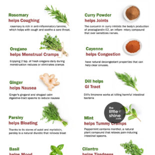 Best Healing Herbs You Should Know About