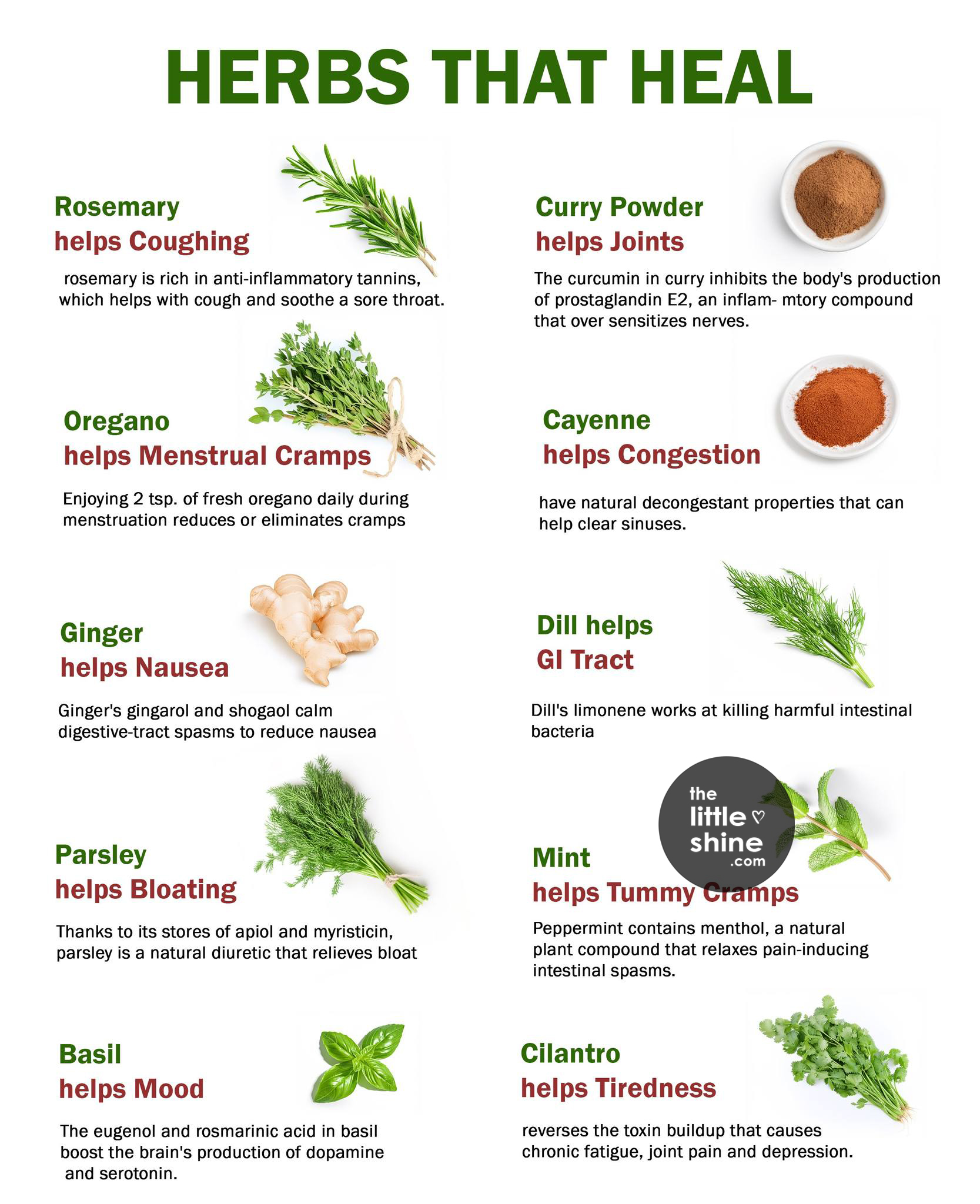 Best Healing Herbs You Should Know About