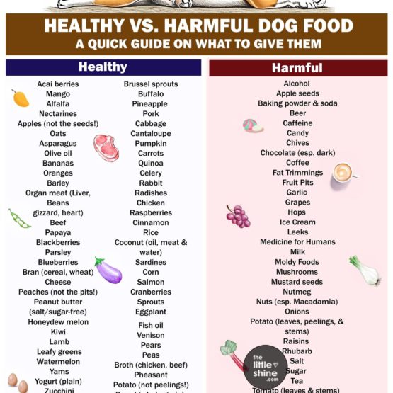 What Can Dogs Eat? | Good Foods, Toxic Foods, Foods to Avoid