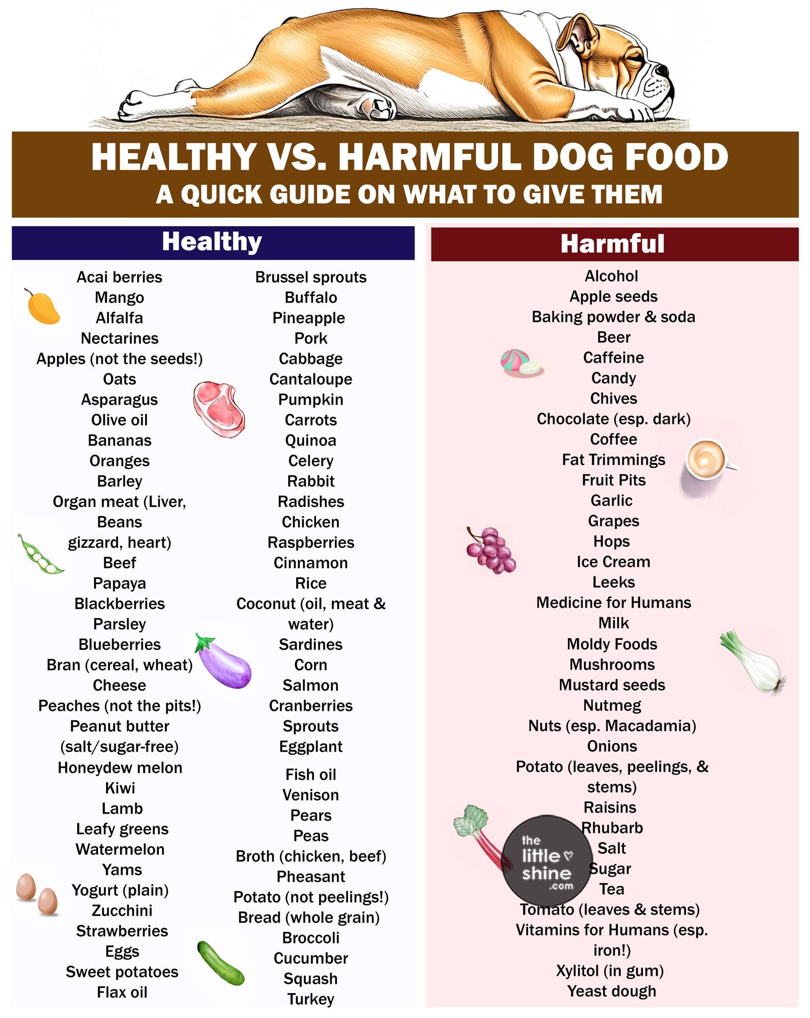 What Can Dogs Eat? | Good Foods, Toxic Foods, Foods to Avoid