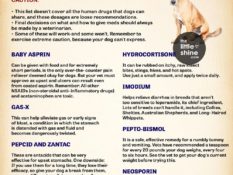 CAN DOGS USE HUMAN MEDICINES?
