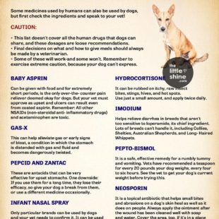 CAN DOGS USE HUMAN MEDICINES?