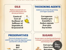 Avoid These Toxic Common Grocery Ingredients