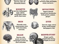 Best Foods for Every Body Part