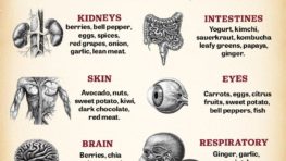 Best Foods for Every Body Part