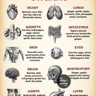 Best Foods for Every Body Part