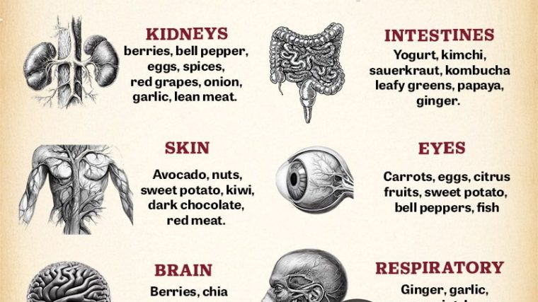 Best Foods for Every Body Part