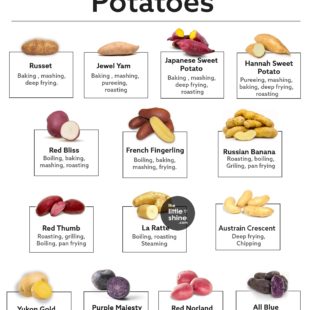 Types of Potatoes