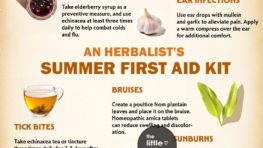 An Herbalist's Summer First Aid Kit