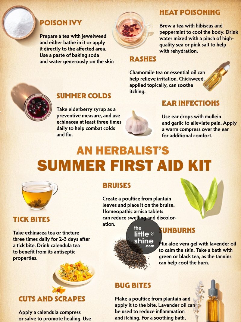 An Herbalist's Summer First Aid Kit