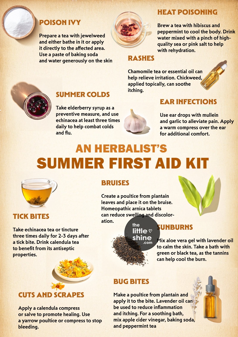 An Herbalist's Summer First Aid Kit