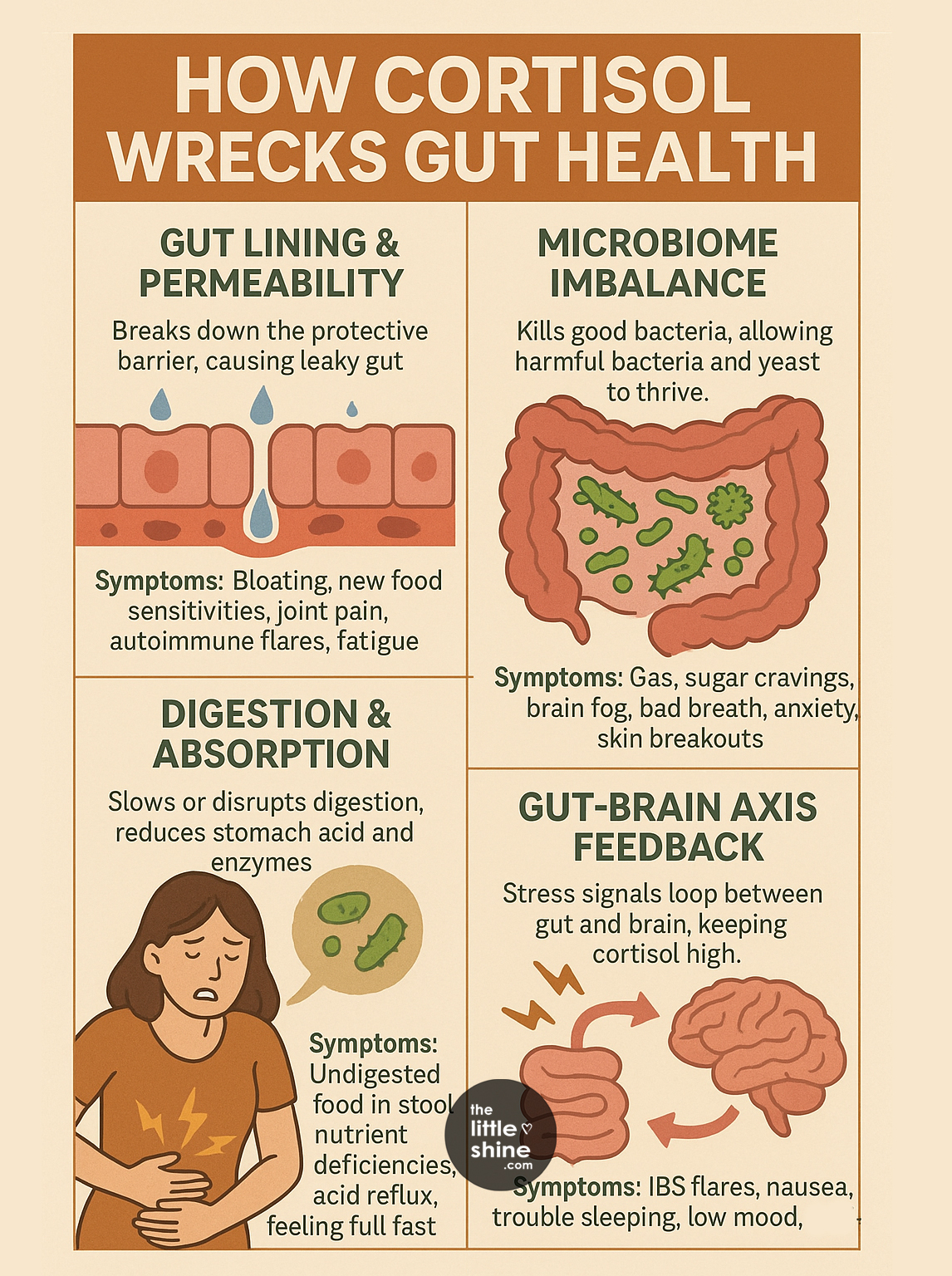 Taming the Stress-Gut Cycle: Practical Solutions to Heal Your Gut from Cortisol Damage