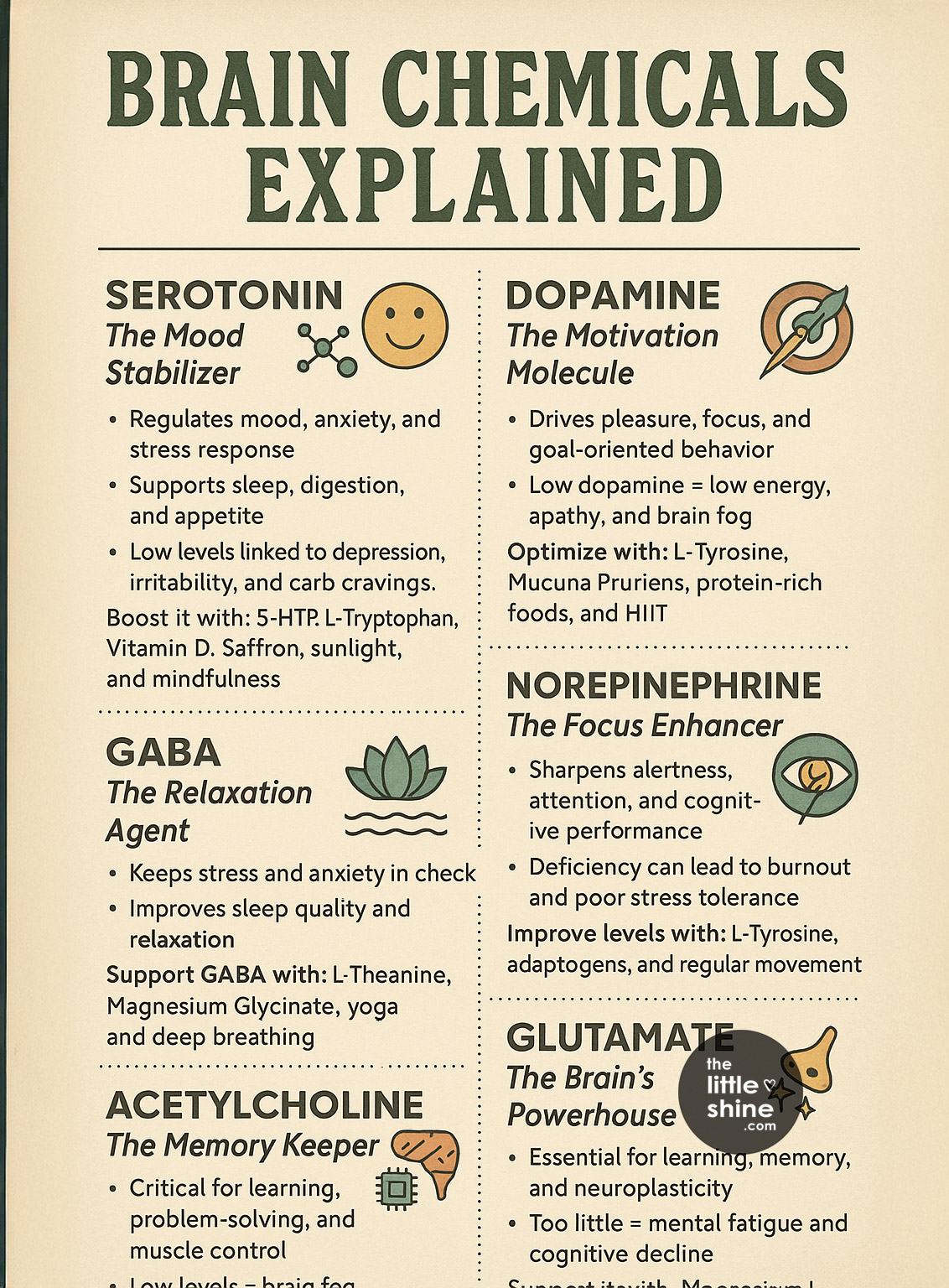 Mastering Your Mind: A Guide to Your Brain's Key Chemicals