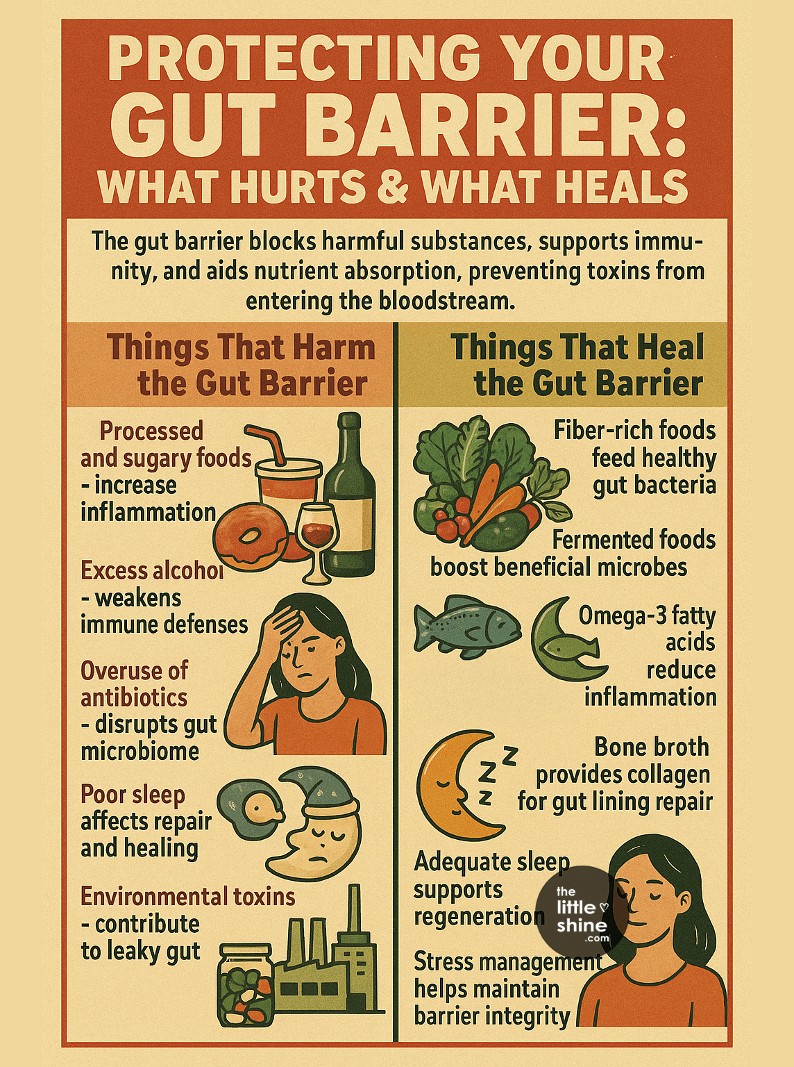 A Comprehensive Guide to a Healthy Gut