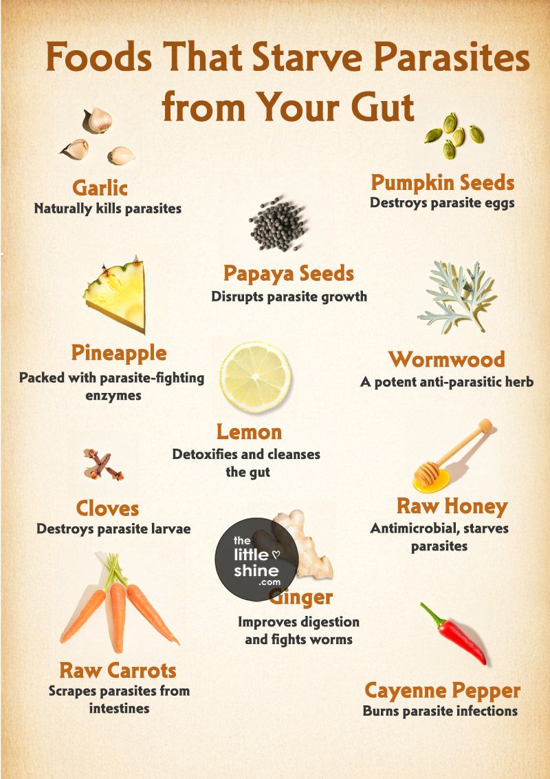 Nature's Defense: Foods That Help Starve and Eliminate Gut Parasites