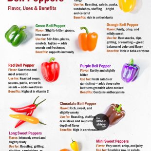 🌈 The Colorful World of Bell Peppers: Flavors, Uses, and Health Benefits