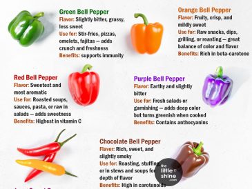 🌈 The Colorful World of Bell Peppers: Flavors, Uses, and Health Benefits