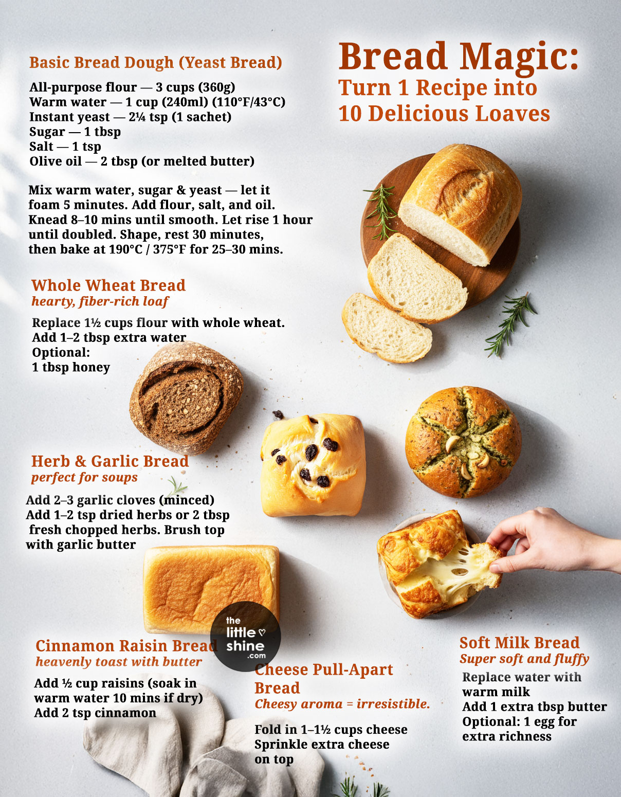 Bake Once, Eat All Week: 10 Breads From 1 Dough