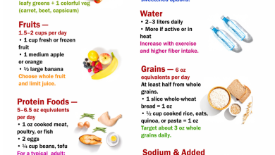 What You Should Eat in a Day