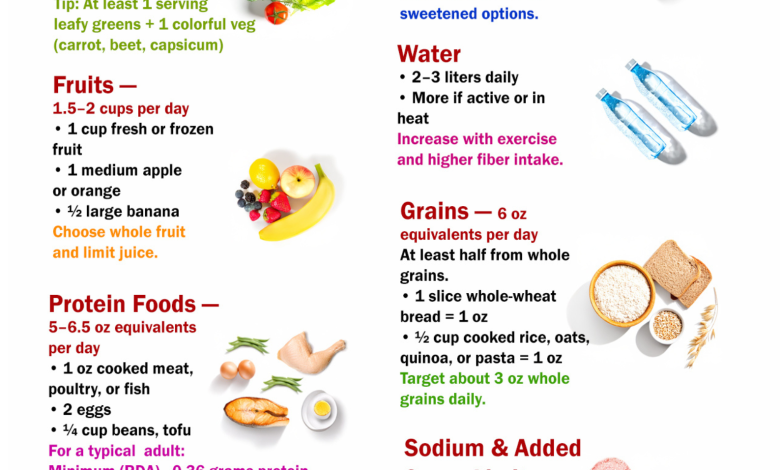 What You Should Eat in a Day