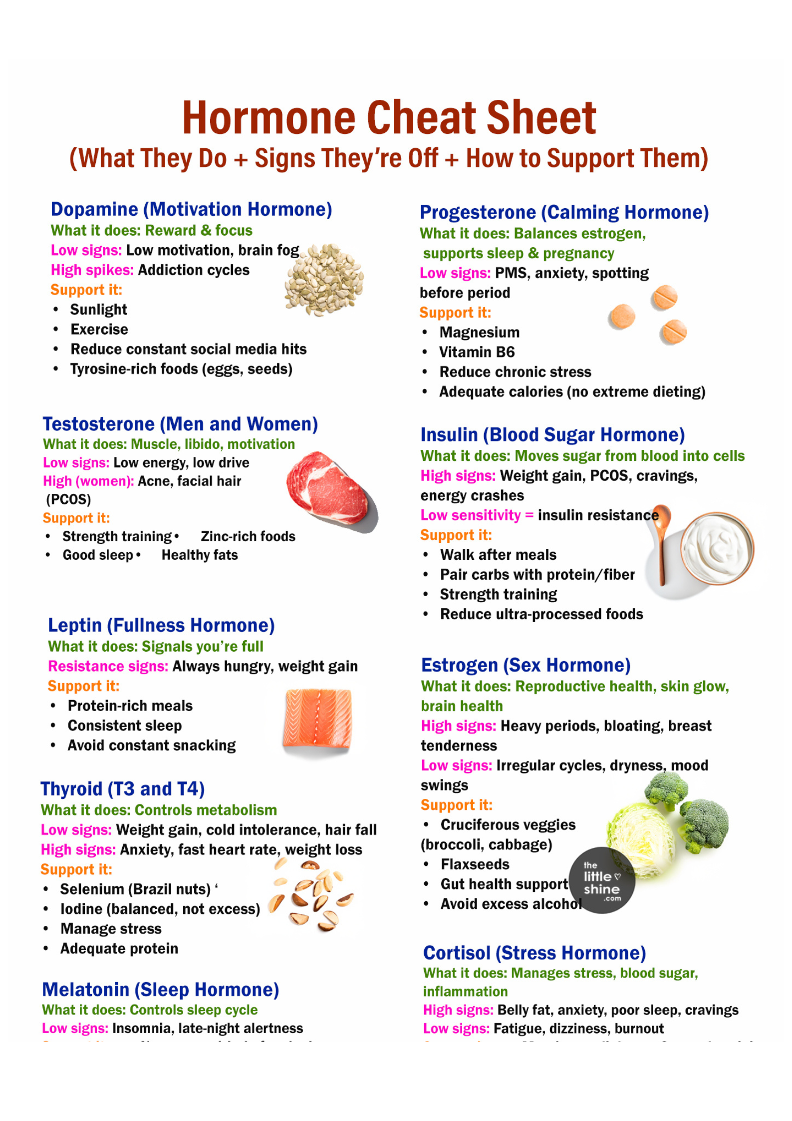 The Ultimate Hormone Cheat Sheet: What Each Hormone Does, Signs It’s Off & How to Support It Naturally