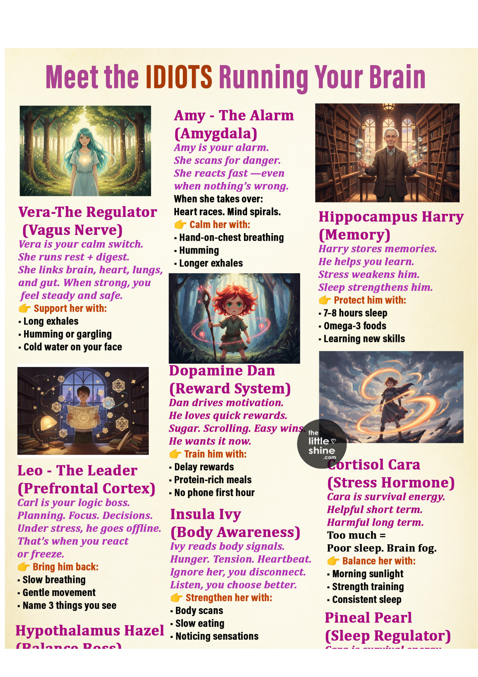 Your Brain Is Hijacking You: 15 Systems You Need to Understand