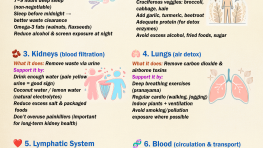Full Body Detox: How to Support Every Organ Naturally (The Right Way)
