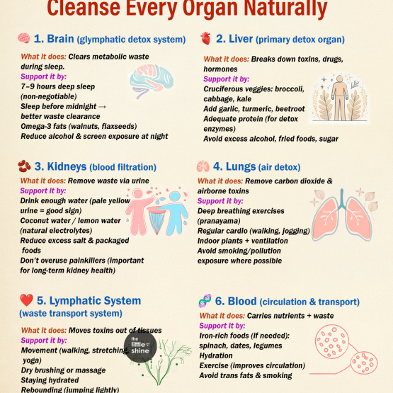 Full Body Detox: How to Support Every Organ Naturally (The Right Way)