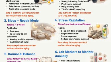 The Blueprint to Longevity: How to Live Longer and Stay Healthier