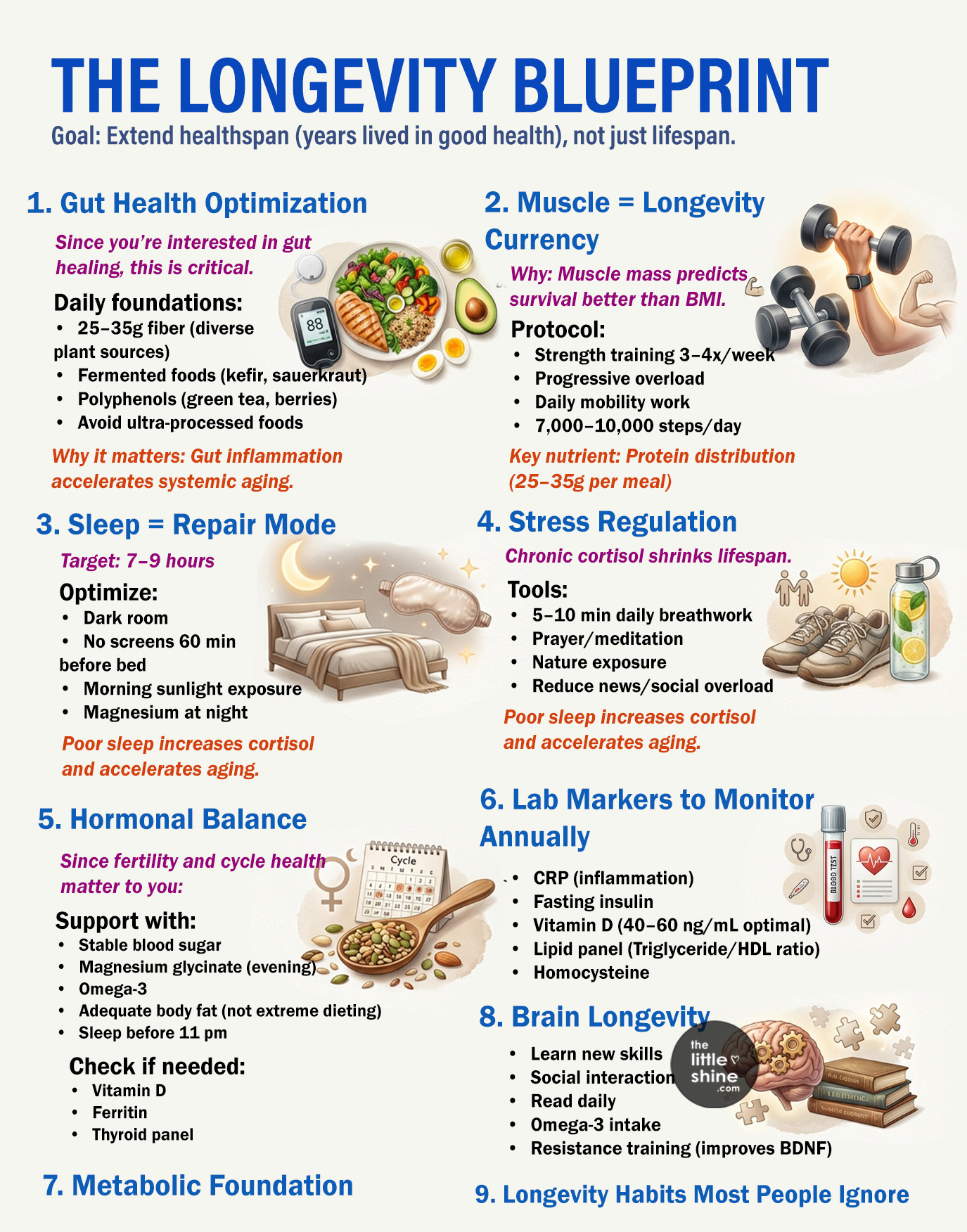 The Blueprint to Longevity: How to Live Longer and Stay Healthier