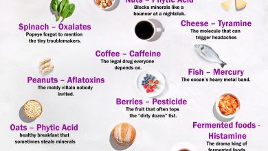 The Tiny Villains Hiding in Your Food (That Nobody Talks About)