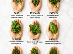 🌿 Know Your Herbs: 15 Everyday Herbs and Their Potential Benefits