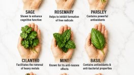 🌿 Know Your Herbs: 15 Everyday Herbs and Their Potential Benefits