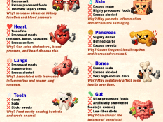 Which Organs Hate Which Foods?