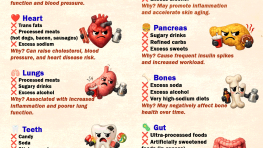 Which Organs Hate Which Foods?
