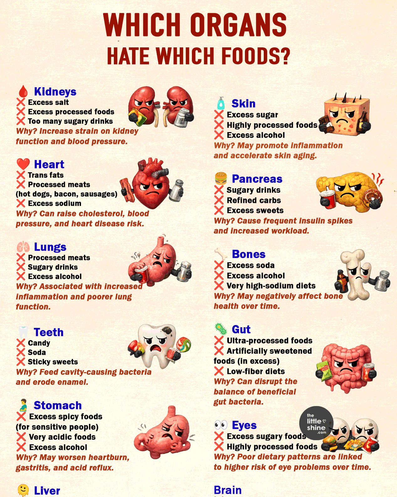 Which Organs Hate Which Foods?