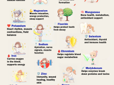 Minerals Your Body Needs (And Why They Matter)
