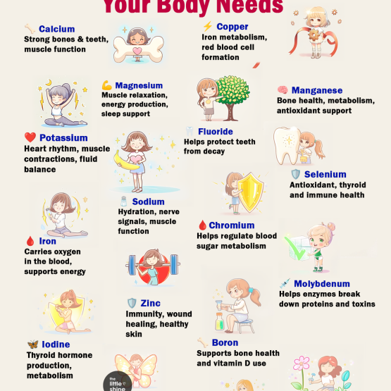 Minerals Your Body Needs (And Why They Matter)
