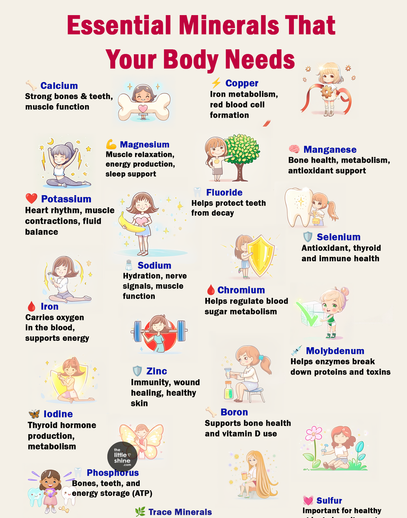 Minerals Your Body Needs (And Why They Matter)