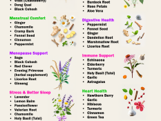 Herbs for Women: Natural Herbs That May Support Every Stage of Women's Health