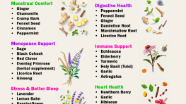 Herbs for Women: Natural Herbs That May Support Every Stage of Women's Health