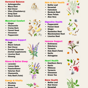 Herbs for Women: Natural Herbs That May Support Every Stage of Women's Health