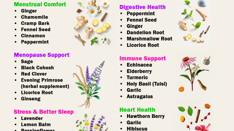 Herbs for Women: Natural Herbs That May Support Every Stage of Women's Health