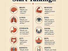 Before You Blame the Wrong Organ…