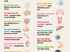 Weird Facts About Your Body That Are Actually True